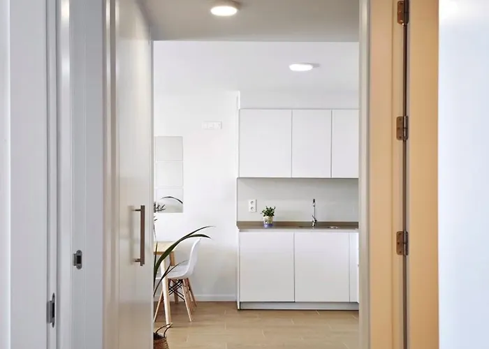 Desconectaengalicia Zoo Con Piscina Y Vistas Al Mar A 150 Metros De Silgar Sanxenxo